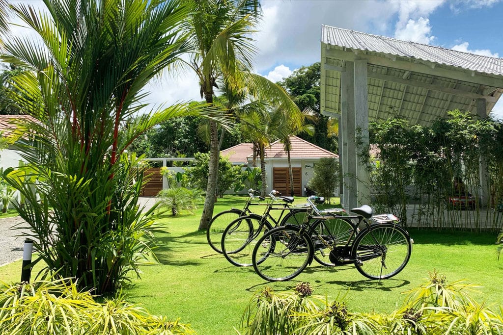 Photo of [object Object]